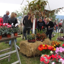 20090906_blumenfest_077