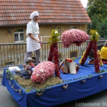 lhainer-blumenfest-2008-05